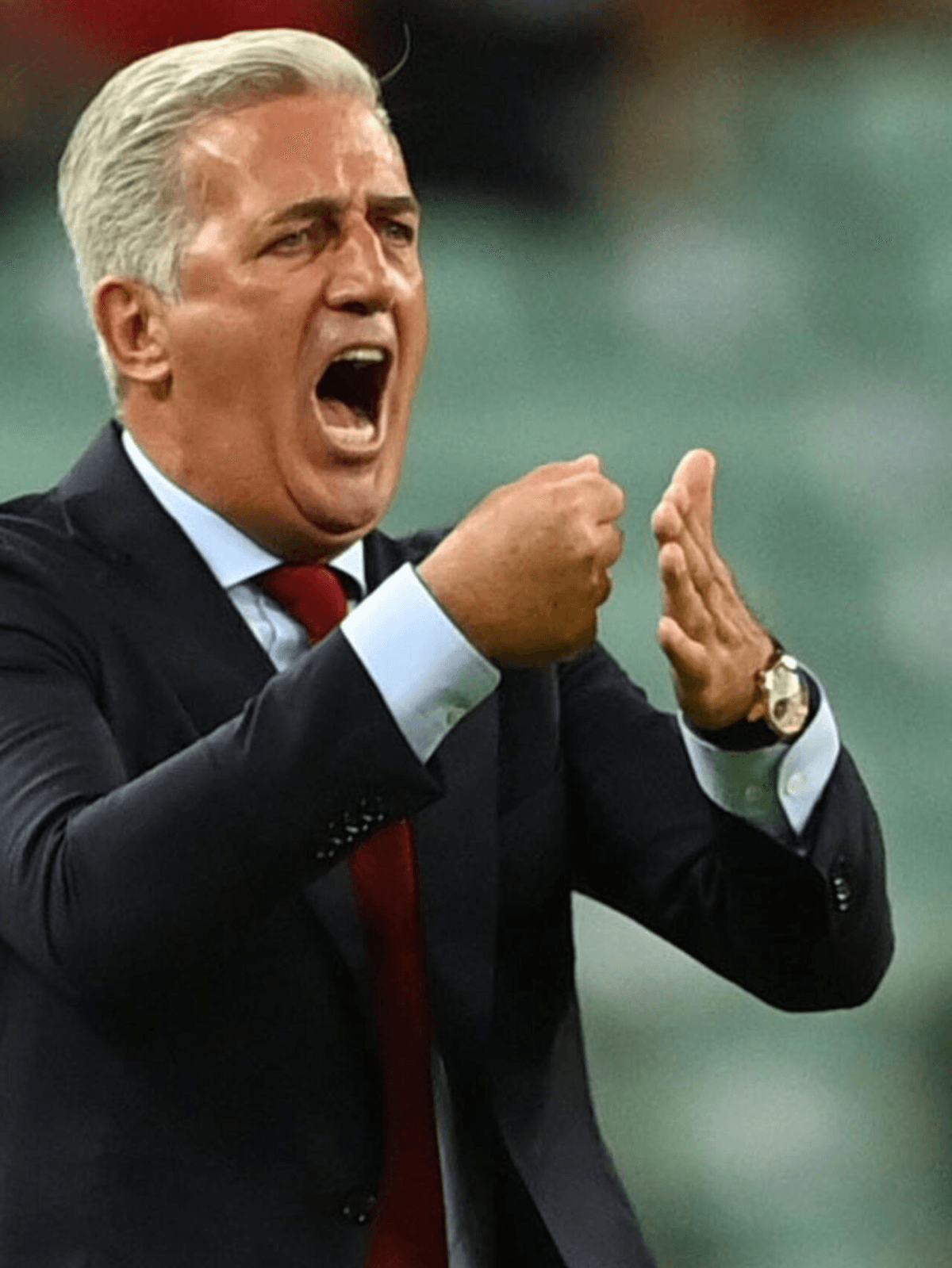 Petković face à la Suisse : le duel d'un passé qui revient