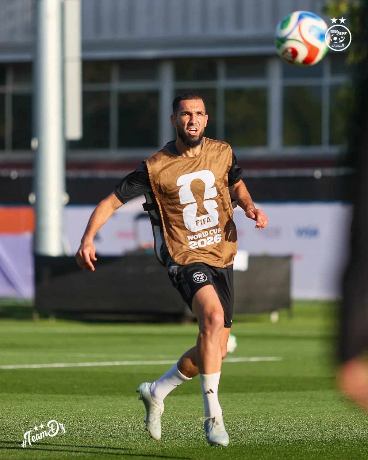 Bentaleb hésite : prolonger à Lille ou rejoindre l'OL