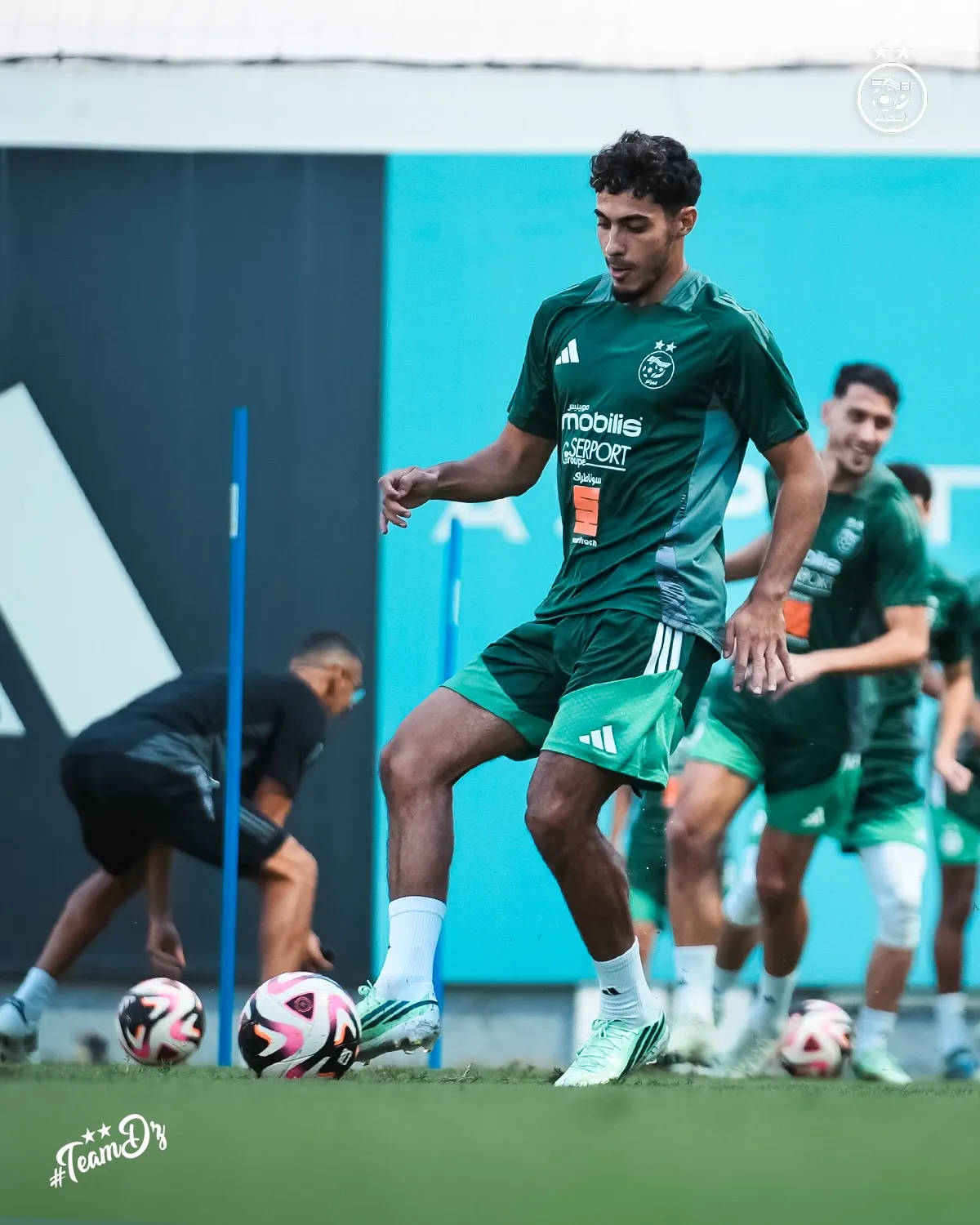 Chaïbi et Maza quittent les Verts ? La mise au point